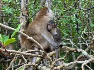 Tour Image